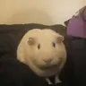 Lola'sMomma