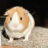Mochamylove