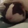 mikeysmama