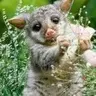 womby