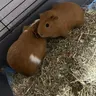 Reggie&Randy