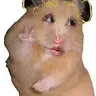 ripcoconuttheguineapig