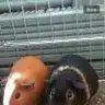 chrunchietwix