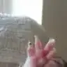 thebear