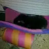poppipop