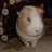 Lottie M