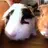 Rolo_and_Sophie