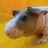 PiggyPower2018