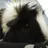 Seafox16
