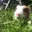 Rosiemarshall13