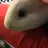 GuineaPigBacon123