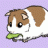 Popcorning.Pigs