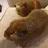 Littlebrownpaws