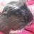 Squishy & Ratty