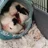 PoePiggies