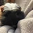 Penny_Willow