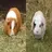 Nik_n_Pigs